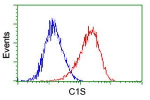 Complement C1s Antibody (clone OTI5F2)