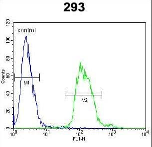 Polyclonal Rabbit anti-Human TAC1 Antibody (aa102-129, WB)