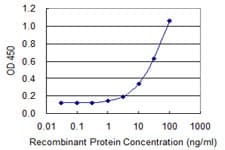 IHC-plus™ Monoclonal Mouse anti-Human FOXQ1 Antibody (clone 3E3, IHC)