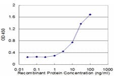 CAMLG / CAML Antibody (clone 3F12)
