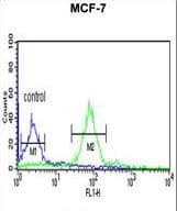 HIST1H2AH Antibody (aa1-30)