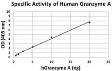 Human GZMA / Granzyme A Protein (Recombinant 10His, C-terminus)