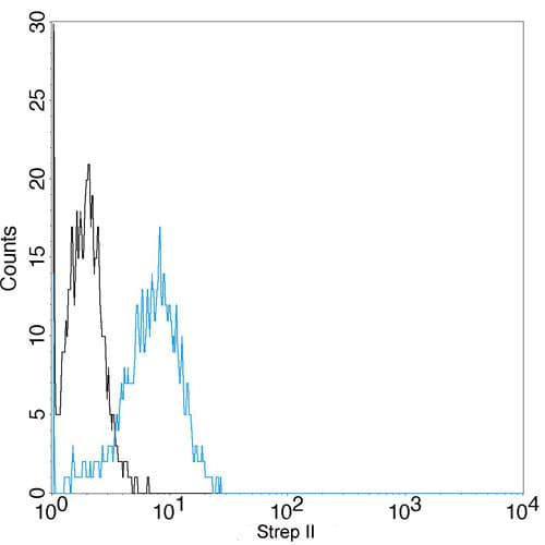 Monoclonal Mouse Streptavidin Antibody (clone 5A9F9, IF, WB)