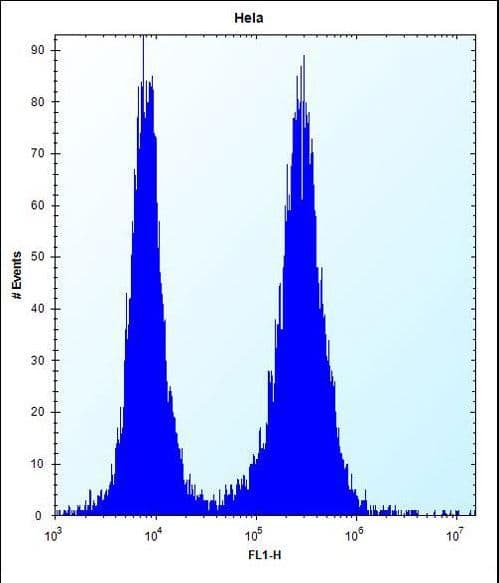 PHF5A / INI Antibody (aa81-110)