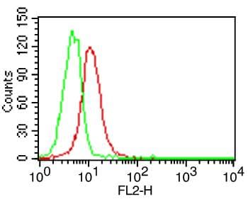 CD27L / CD70 Antibody (clone BU69)