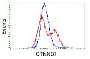 CTNNB1 / Beta Catenin Antibody (clone OTI11H9)