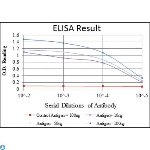 TNNI2 Antibody