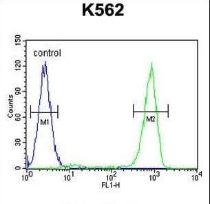 OC90 Antibody (aa223-252)