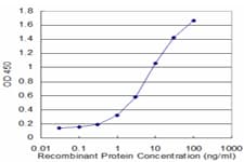 FCN1 / Ficolin-1 Antibody (clone 2B7)