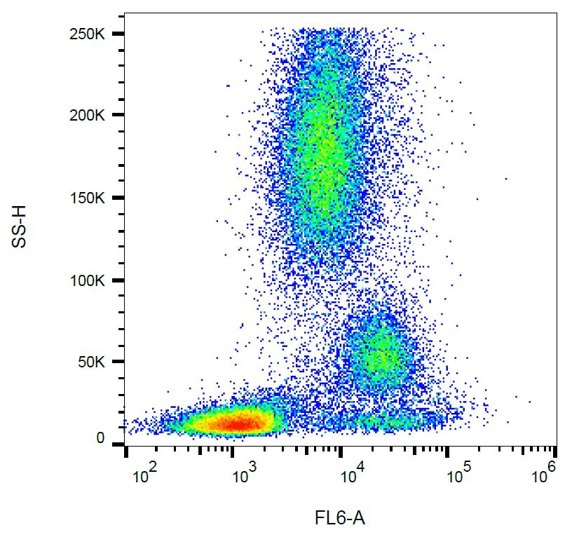 CD39 Antibody (clone TU66)