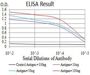 ER Alpha / Estrogen Receptor Antibody (clone 6A6F3)