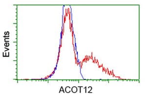 ACOT12 Antibody (clone OTI1A11)