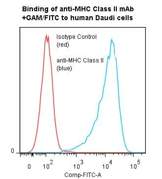 IHC-plus™ MHC Class II Antibody (clone TDR31.1)