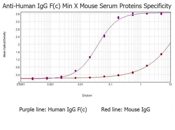 Goat Anti-Human IgG Fc Secondary Antibody
