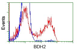 BDH2 Antibody (clone OTI2G1)