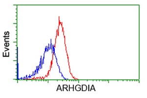 ARHGDIA / RHOGDI Antibody (clone OTI1F2, Carrier-free)
