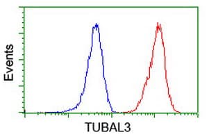 TUBAL3 Antibody (clone OTI5E4)