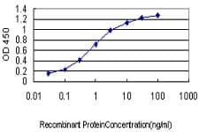 IHC-plus™ MARCKS Antibody (clone 2C2)
