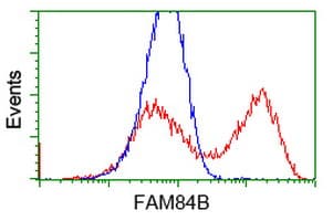 FAM84B Antibody (clone OTI3F12)