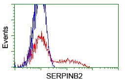 SERPINB2 / PAI-2 Antibody (clone 1F6, Carrier-free)