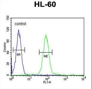 FRA9F Antibody (aa214-242)