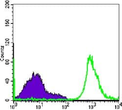 Monoclonal Mouse anti-Human CD19 Antibody (clone 200, IF)