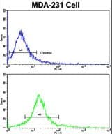 Polyclonal Rabbit anti-Human DXO / DOM3Z Antibody (aa73-99, WB)