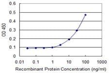 IHC-plus™ Monoclonal Mouse anti-Human WDR77 / MEP50 Antibody (clone 3F10, IHC, WB)