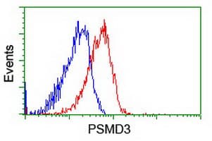 p58 / PSMD3 Antibody (clone OTI2A2, Carrier-free)