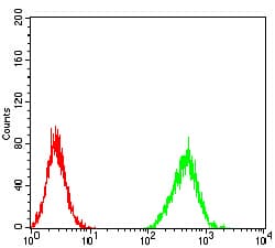 ZFP91 Antibody (clone 8C3D5)