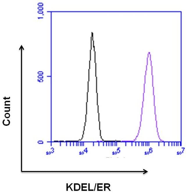 KDEL Tetrapeptide Antibody