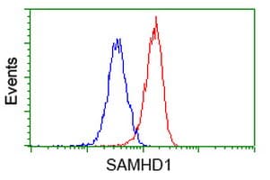 SAMHD1 Antibody (clone OTI3G6)