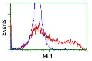 Monoclonal Mouse anti-Human Mannose Phosphate Isomerase Antibody (clone OTI4E7, IHC, WB)