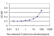 NR0B2 Antibody (clone 1A11)