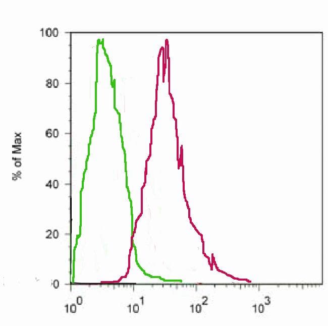 Monoclonal Mouse anti-Human RELB Antibody (clone 17.3, C-Terminus, IF, WB)