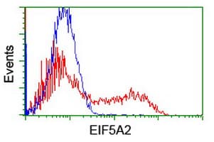EIF5A2 Antibody (clone OTI2E9, Carrier-free)