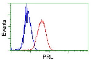 PRL / Prolactin Antibody (clone OTI11B11)