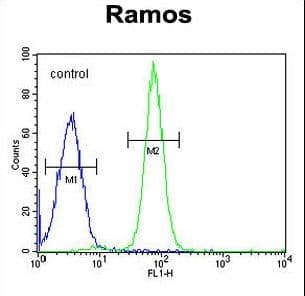 Polyclonal Rabbit anti-Human GUCY2D Antibody (aa540-570, IHC, WB)