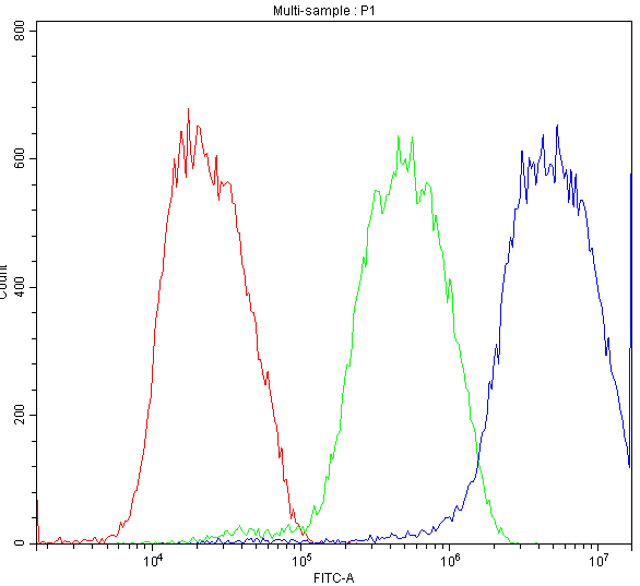 ATF2 Antibody (aa93-450)