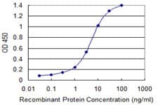 Monoclonal Mouse anti-Human MS4A2 / FCERI Antibody (clone 3B1, WB)