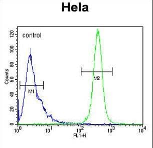 KRT78 / Keratin 78 Antibody (aa176-203)