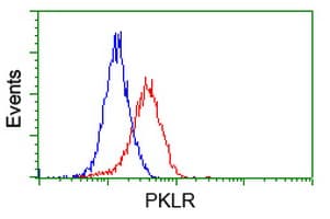 PKLR Antibody (clone OTI1H4)