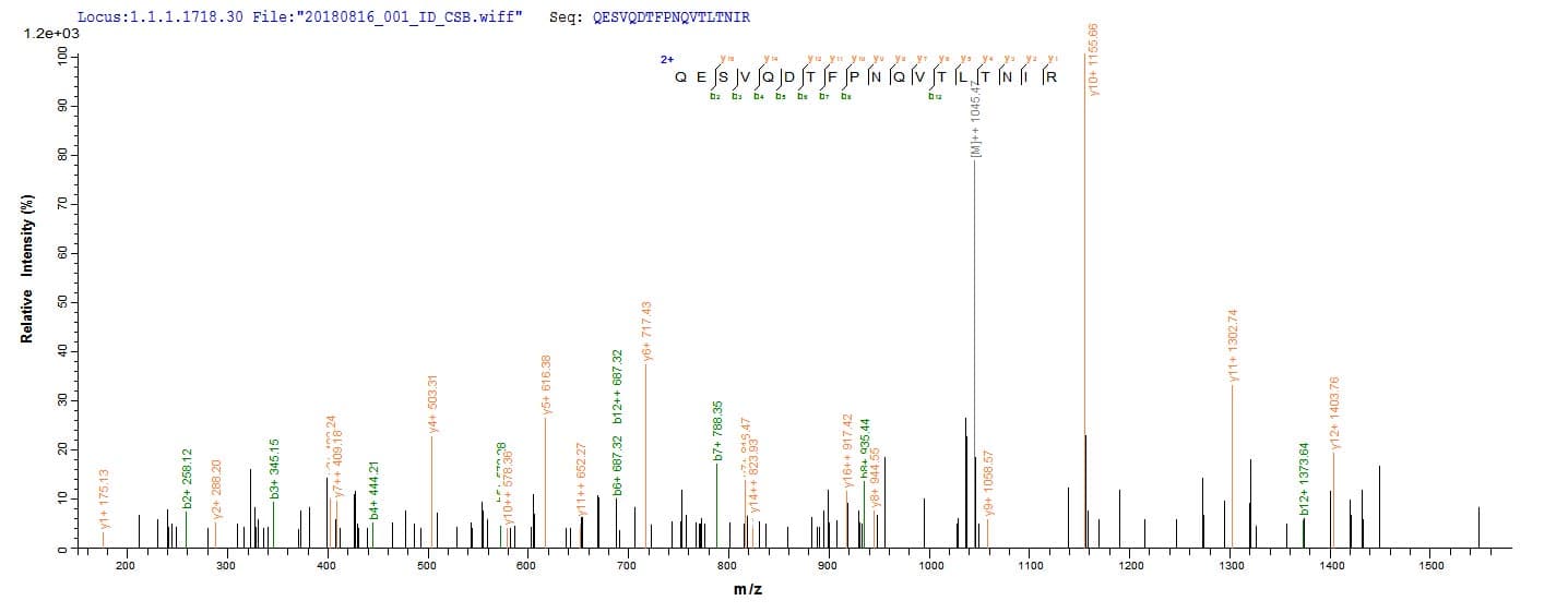 Abrin-a-like (Abrus precatorius) Protein (Recombinant 10His, N-terminus)