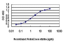 IHC-plus™ PAK1 Antibody (clone 1E11)