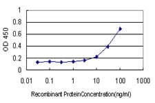 IHC-plus™ HMG1 / HMGB1 Antibody (clone 1B11)