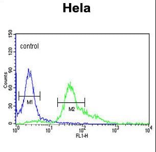 S100A6 / Calcyclin Antibody (aa37-67)