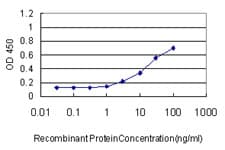 Monoclonal Mouse anti-Human SERPINE1 / PAI-1 Antibody (clone 3F2, WB)