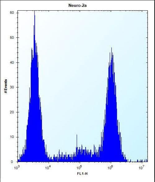 Polyclonal Rabbit anti-Human ZCRB1 Antibody (aa184-212, IHC, WB)