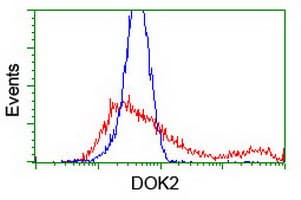 DOK2 Antibody (clone OTI3D6)