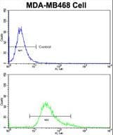 BABAM1 / HSPC142 Antibody (aa116-143)